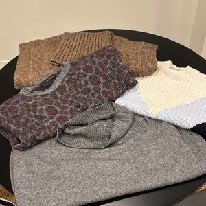 Bundle of 4 Women's Sweater Collection - Brown, Gray, Cream, blue